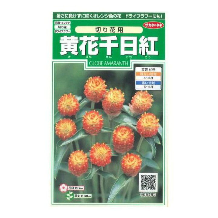 花の種 黄花千日紅約42粒 サカタのタネ グリーンロフトネモト