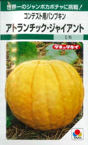 ڂ Ag`bNEWCAg 5 ^LCc() GF