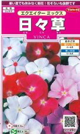 花の種 日々草エクエイターミックス　約58粒　（株）サカタのタネ　実咲