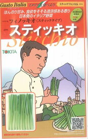 イタリア野菜スティッキオ　200粒 トキタ種苗（株）