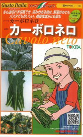 イタリア野菜カーボロネロ40粒トキタ種苗（株）