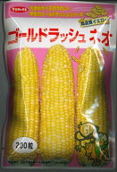 とうもろこし ゴールドラッシュネオ 200粒 (株)サカタのタネ [種子/野菜]