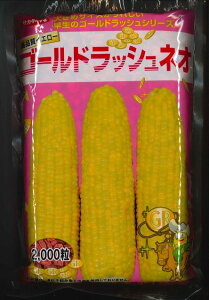 �Ƃ����낱�� �S�[���h���b�V���l�I 2000�� (��)�T�J�^�̃^�l [��q/���]