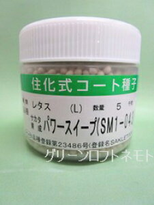 ^X p[XC[vybgq5000 ()TJ^̃^l