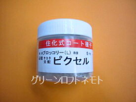 ブロッコリー ピクセル コート5000粒 (株)サカタのタネ