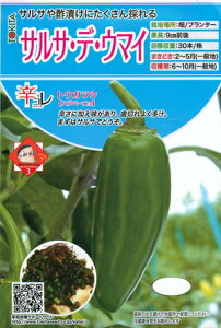 Ƃ炵 ny[j TTEfEE}C 20 gL^c()