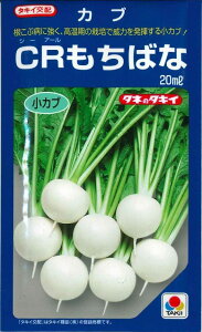 かぶ CRもちばな 20ml タキイ種苗(株)