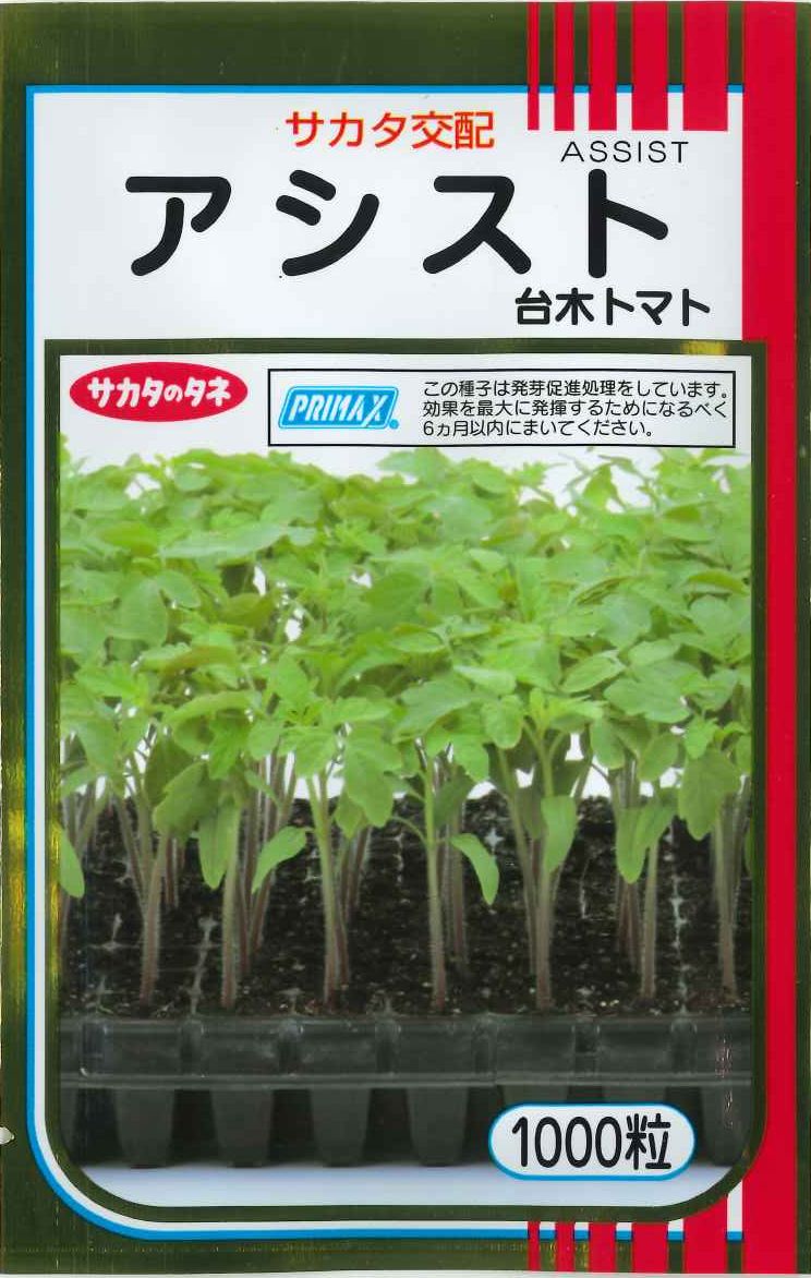 台木トマトアシスト1000粒 サカタ交配 | グリーンロフトネモト