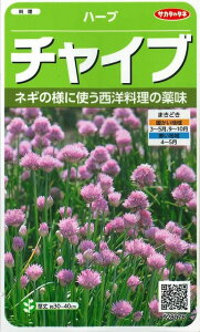 n[u̎ `Cu 215 ()TJ^̃^l i003185j