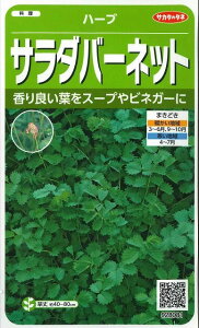 n[u̎ T_o[lbg 60 ()TJ^̃^l i003188j