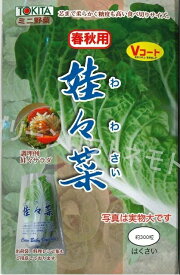 白菜　娃々菜　春秋用1g（約300粒）トキタ種苗（株）
