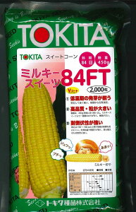 Ƃ낱 ~L[XC[c84FT @@2000 gL^c()