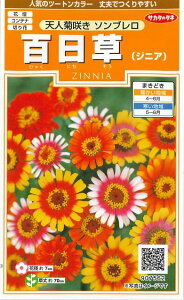 Ԃ̎ S Vle炫\u 40 ()TJ^̃^l i026353j