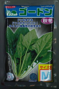 ق񂻂 S[h M 3 ()TJ^̃^l