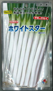 ˂ zCgX^[ iqj1dl ^LCc()