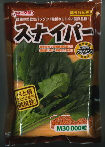 ق񂻂 XiCp[ MTCY 3 JlRcij