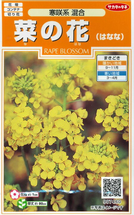 楽天市場 花の種 菜の花 寒咲系混合 約118粒サカタのタネ グリーンロフトネモト