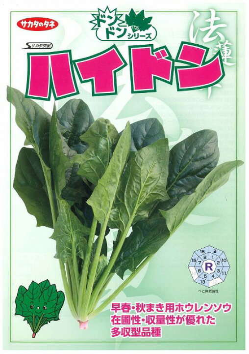 メーカー直送 ほうれん草の種 クロノス M3万粒 野菜の種 メーカー直送 ほうれん草の種 クロノス M3万粒 野菜の種