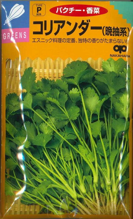 最新の激安 パクチー コリアンダー エスニック ハーブ 種 郵便は送料無料