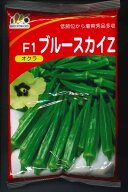 オクラ ブルースカイZ 1L ヴィルモランみかど（株） [種子/野菜]