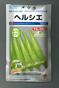 �I�N�� �w���V�G 1000�� �^�L�C��c(��) [��q/���]