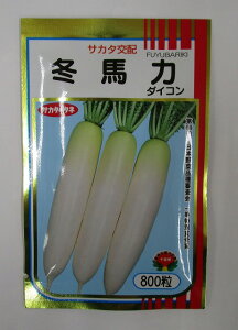 卪 ~n 800 ()TJ^̃^l