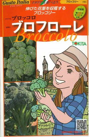 イタリア野菜ブロフローレ　50粒トキタ種苗（株）