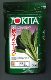 小松菜 秋冬のエース 2dl トキタ種苗(株)
