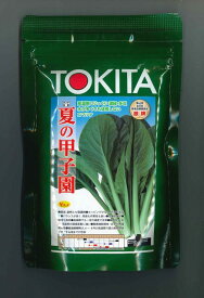 小松菜 夏の甲子園 2dl トキタ種苗(株)