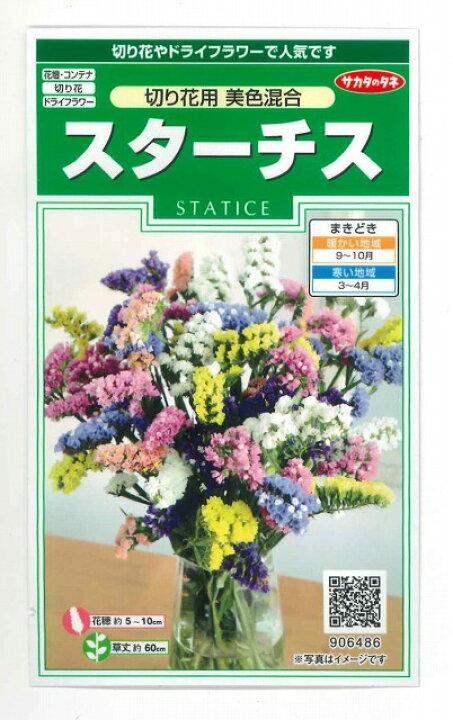楽天市場 花の種 スターチス 切り花用美色混合 約54粒サカタのタネ グリーンロフトネモト