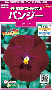 Ԃ̎ pW[ pVI [Yub` 34 ()TJ^̃^l i026140j