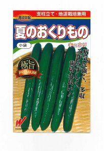 ���イ�� �Ă̂�������� 20�� �n�Ӕ_��(��) [��q/���]