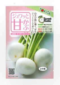 かぶ ジュワッと甘かぶ2千粒 トキタ種苗(株)