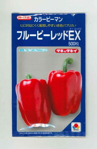 s[} J[s[} t[s[bhEX 500 ^LCc()