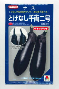 �Ȃ� �Ƃ��Ȃ��痼�� 1000�� �^�L�C��c(��) [��q/���]