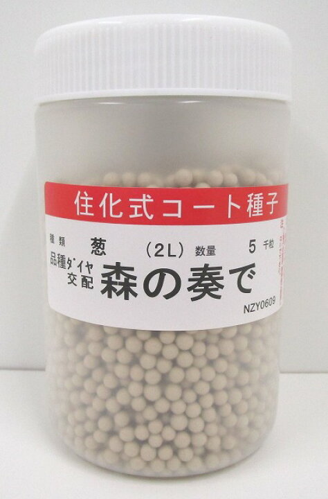 楽天市場】ねぎ 森の奏で コート5000粒 トキタ種苗(株) : グリーン 