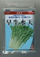 水菜 早生水天 2dl (株)サカタのタネ [種子/野菜]
