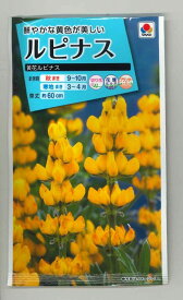 楽天市場 ルピナス 花の通販