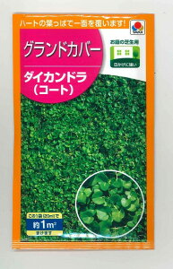 種 ダイカンドラの人気商品 通販 価格比較 価格 Com