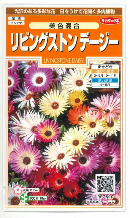 楽天市場 花の種 リビングストンデージー美色混合 約286粒サカタのタネ グリーンロフトネモト