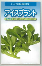 楽天市場 アイスプラント 種の通販