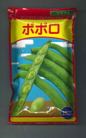 そら豆 ポポロ 12粒 （株）武蔵野種苗園