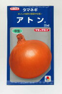 たまねぎ アトン 20ml タキイ種苗(株) [種子/野菜]