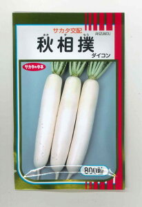 卪 Ho 8痱 ()TJ^̃^l