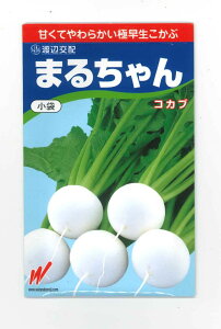  ܂邿()1000 nӔ_()