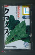 ほうれんそう クロノス[種子サイズL・2万粒] (株)サカタのタネ [種子/野菜]