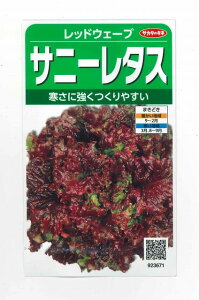 ^X Tj[^X bhEF[u 1200 ()TJ^̃^l 350i003031j