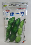 そら豆 仁徳一寸1L(およそ240粒) タキイ種苗(株) [種子/野菜]