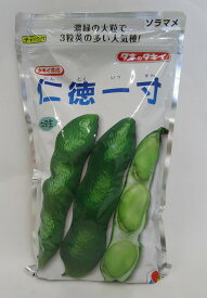 そら豆 仁徳一寸1L(およそ240粒) タキイ種苗(株)