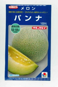 ������ �p���i 100�� �^�L�C��c(��)